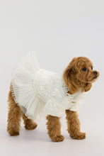 Load image into Gallery viewer, Pet sequins dress