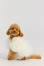 Cargar imagen en el visor de la galería, Fluffy pet dress