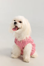 Load image into Gallery viewer, Tweed pet jacket