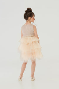 Glitter Top Layered Dress