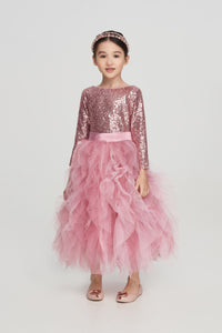 Sequins Top Tulle Dress