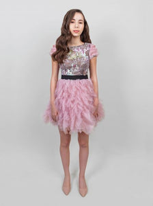 Fluffy Sleeves and Skirt Elegant Dress