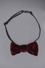 Load image into Gallery viewer, Mini Bow Tie, Red