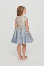 Load image into Gallery viewer, Ombre Glitter Dress