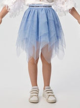 Load image into Gallery viewer, Multilayered Tulle Skirt